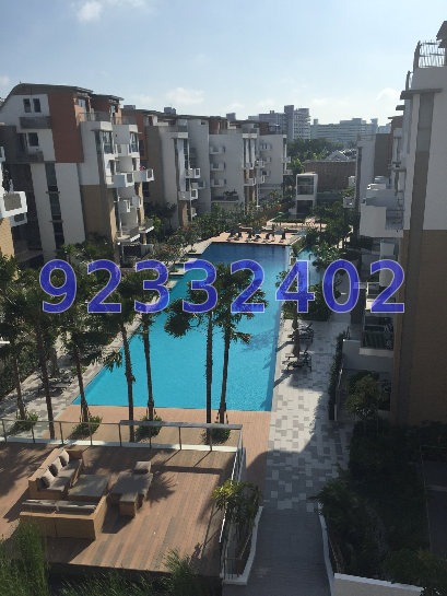 Terrasse (D19), Condominium #42888662